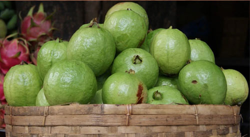 Guava frutto